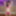 TGIRLPOSTOP:ストーリーランドのアリス