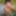 SelfiesNudes al Aire Libre (Excitado en la Calle)