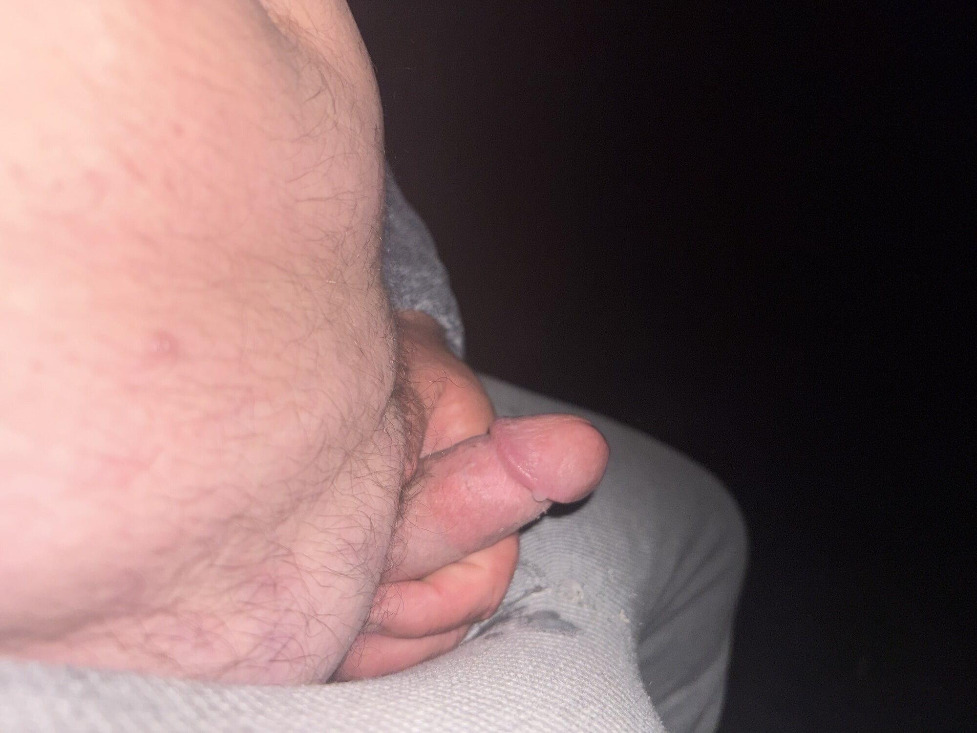 BrewsterBear Again #24