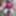 Amateur crossdresser Kelly cd in pink fishnet dress  #35