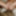 Redhead teen slut wants to swallow cum #18