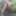 Tygra slut nude in the forest of the Robertsau. #23