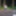 Strip in the woods #2