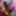 Mega MIX 1 Black Ebony Pornstar Msnovember for Sheisnovember