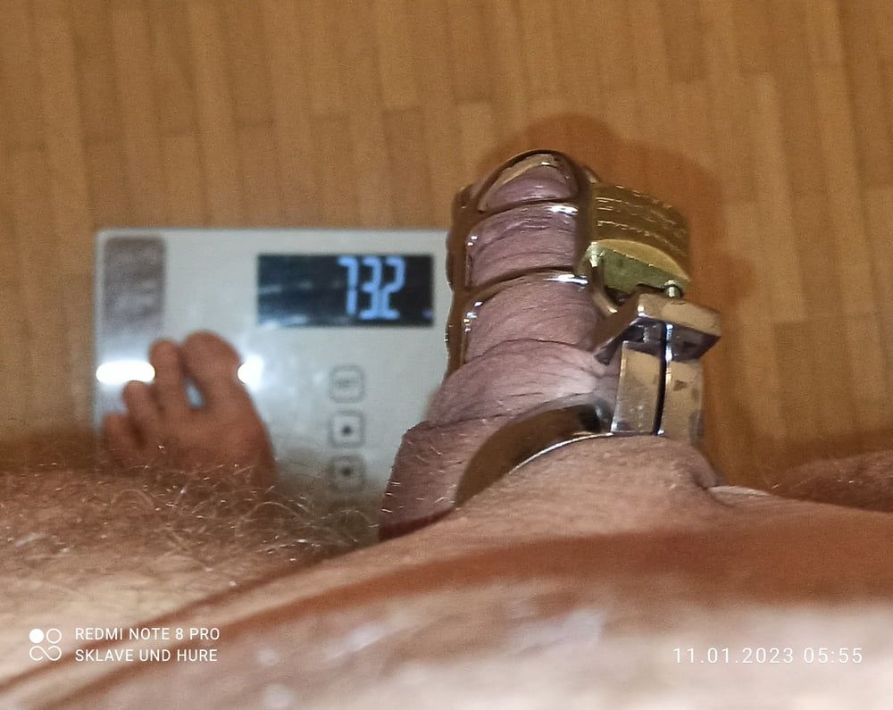 mandatory weighing and cagecheck of 11.01.2023 #3