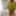 Amateur crossdresser Kellycd2022 holiday in white stockings #10