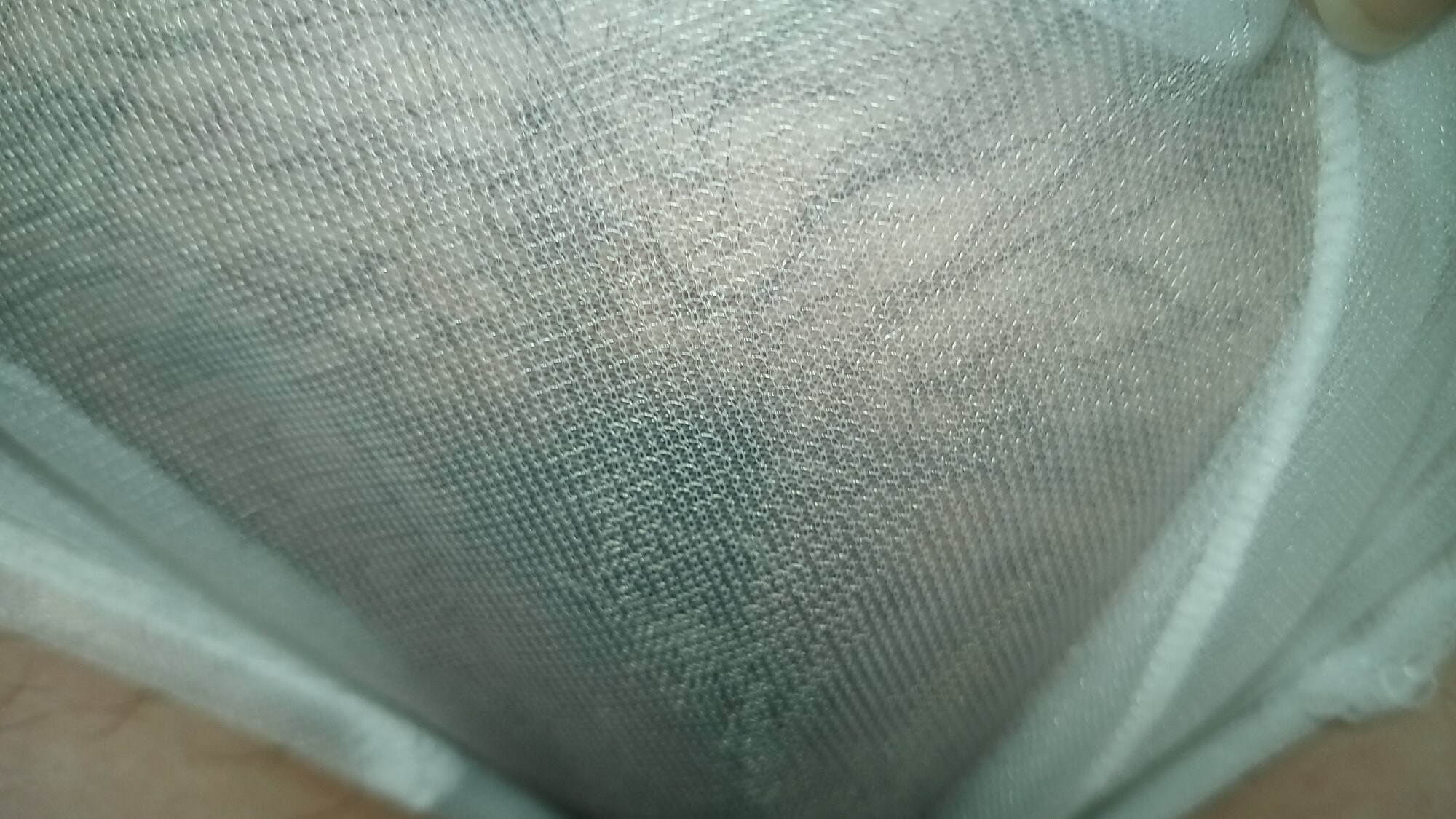 Hairy pussy in sheer panties