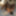 Fuck Toy Pics #22