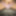 My old gallery 2019-2021 #4