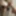 Free Lys Photos