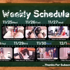 11.25-12.1 UPLOAD SCHEDULE