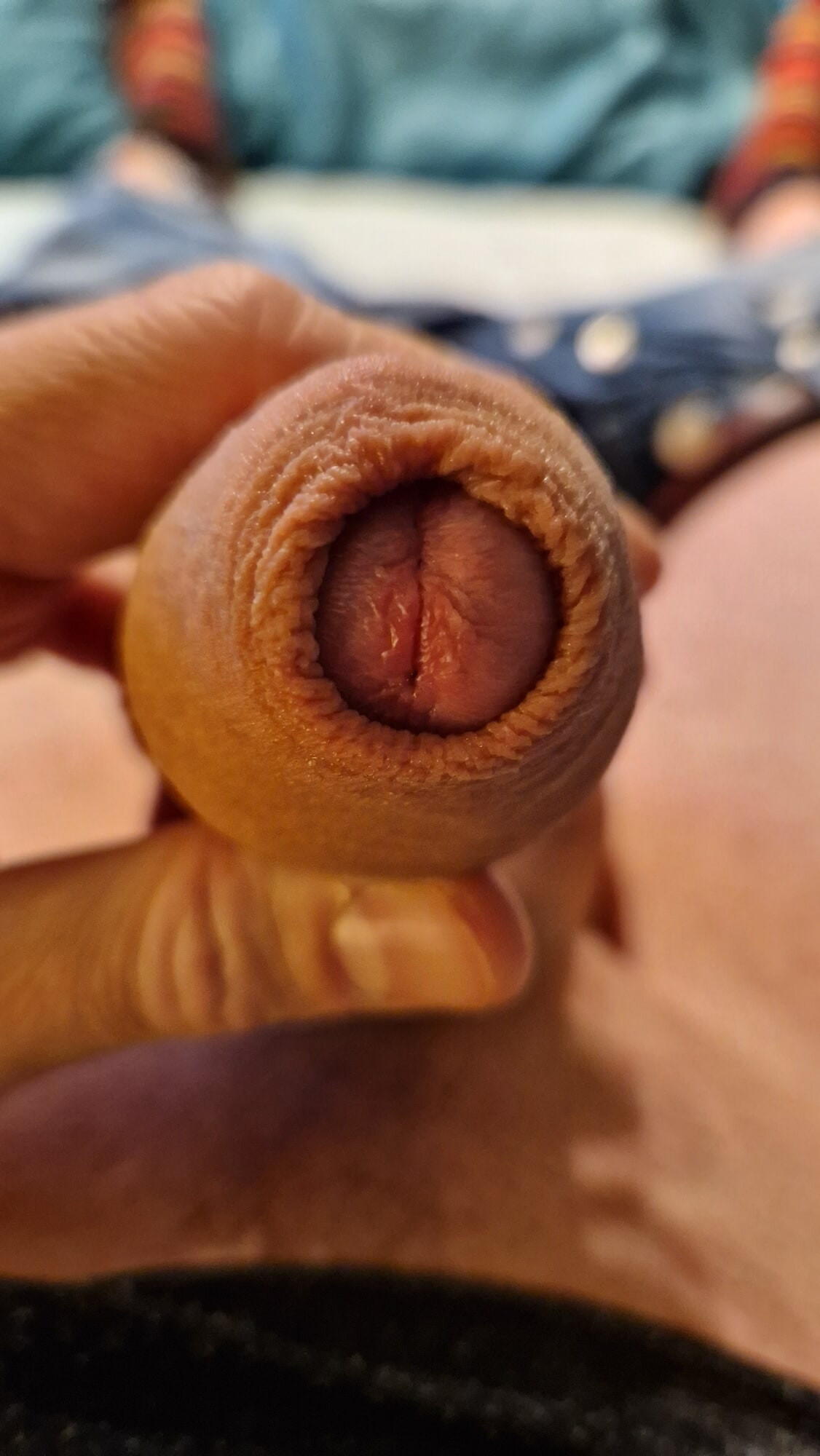 Photos posing my horny hard cock in different ways for you #6