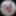 lizzy yum - panoramic images #9