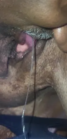 licking amp amp sticking         