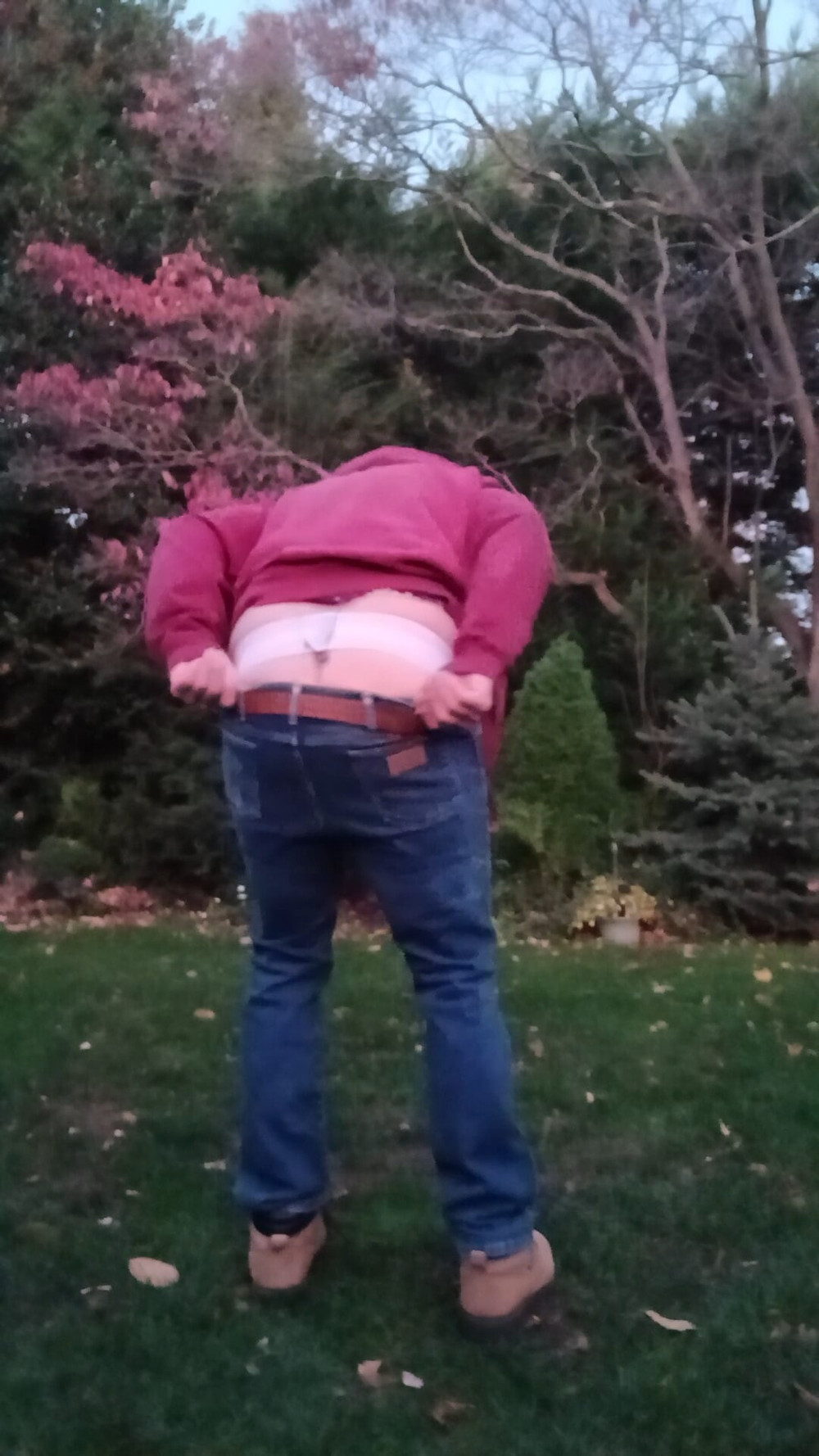 Safety harness for tree pruning  #8