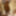 Black honey gets recorded as she showers #46