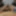 Emma Lust POV Cumshot Session
