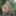Punk babe Jesyka Diamond posing nude in the jungle