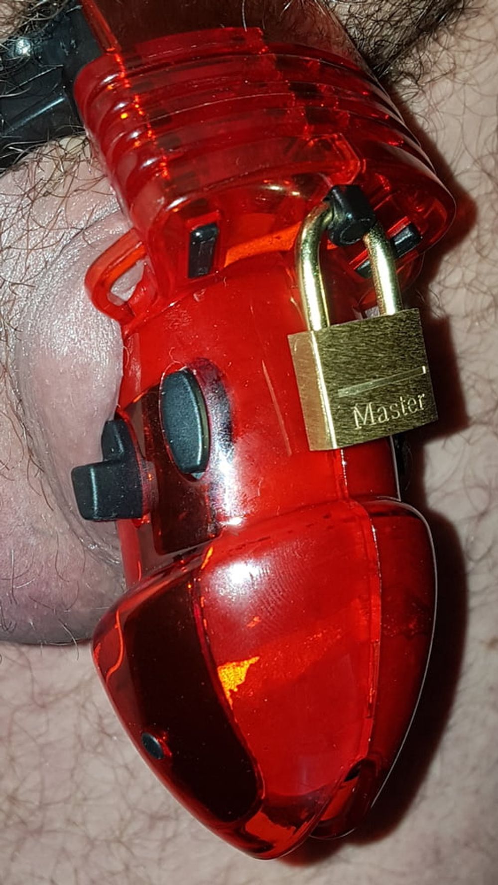 Chastity cage