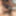 新しい写真