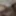 Pumped and plump older Gay man&#039;s dick. Oral. Plump. 