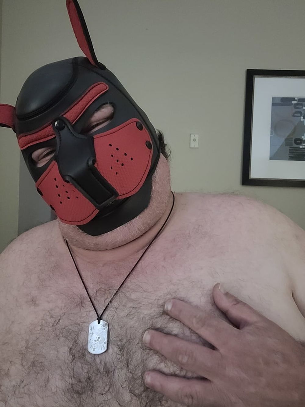 Woof! Masked Set #20