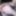 December 2024 Gallery #11