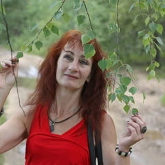 Among Birch