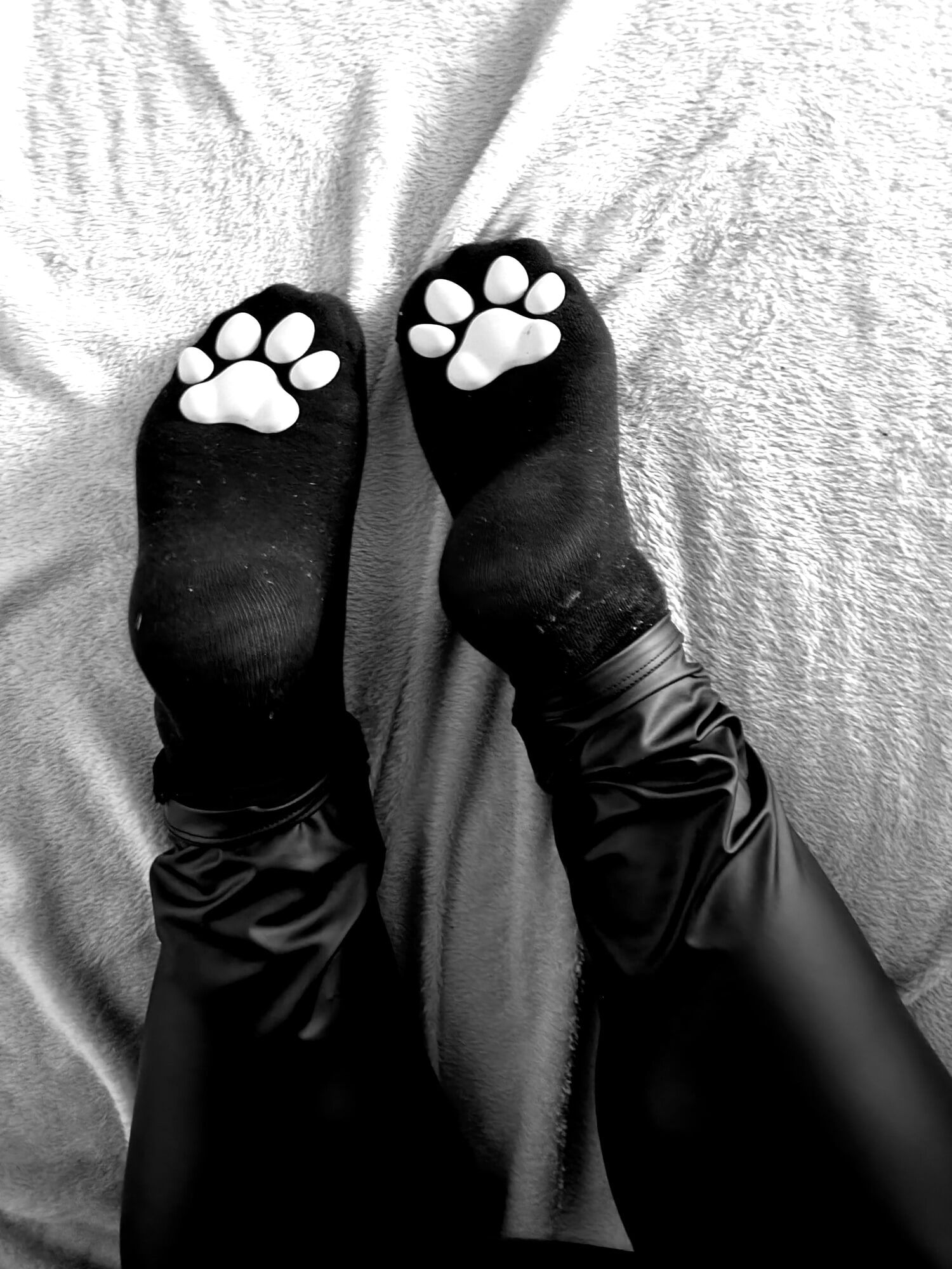 My sweet Paw socks #4