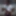 Benjamin Free Photos