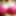 Barbie&#039;s Boob