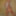 Kinky beauty masturbates in the shower for me #33