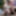German Wife catch old Husband Fuck the Maid and Join 3Some
