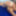 RNW0002 Amirah Adara vs Ivy Rain Nude Wrestling Live