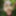 Wanking in the woods #22