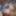 Cute girl viral photo