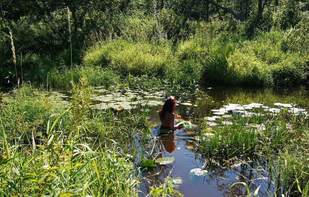 in a weedy pond #14