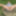 Sexy BBW Outdoors at the Park