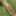 On the river bank, on the grass, in a public place without p #11