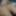 Fun Fuck Toy Pics