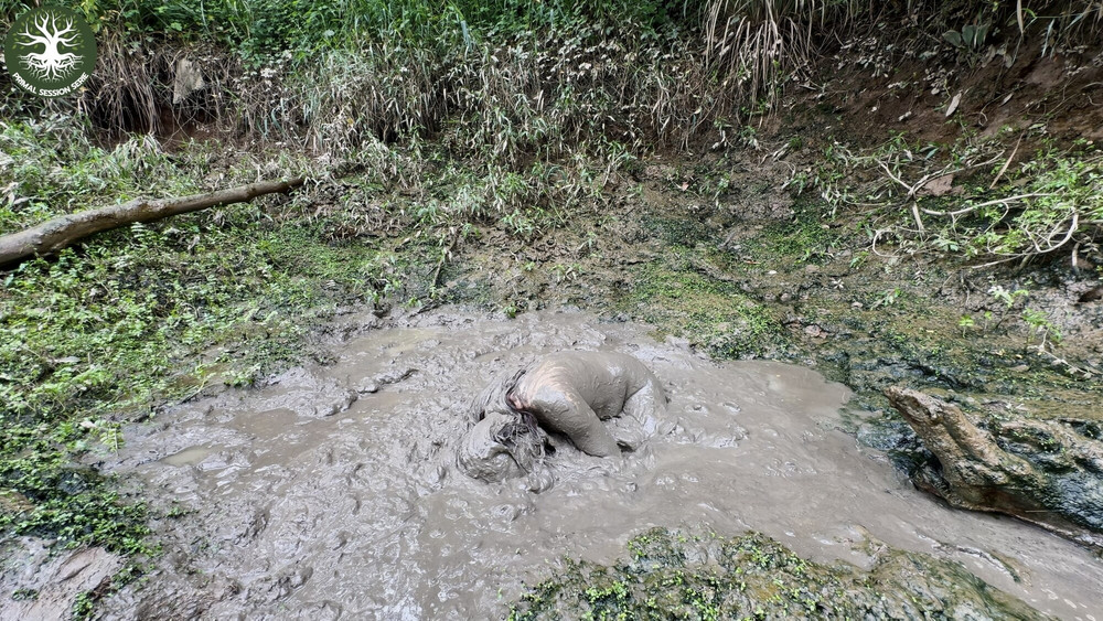 SHOT : EARTHLY FILTH #6