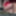Crossdressing Transvestite Sounding Urethral God Dildo 122 a #22