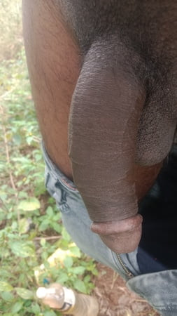 صبي ديسي الديك الكبير