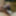My body