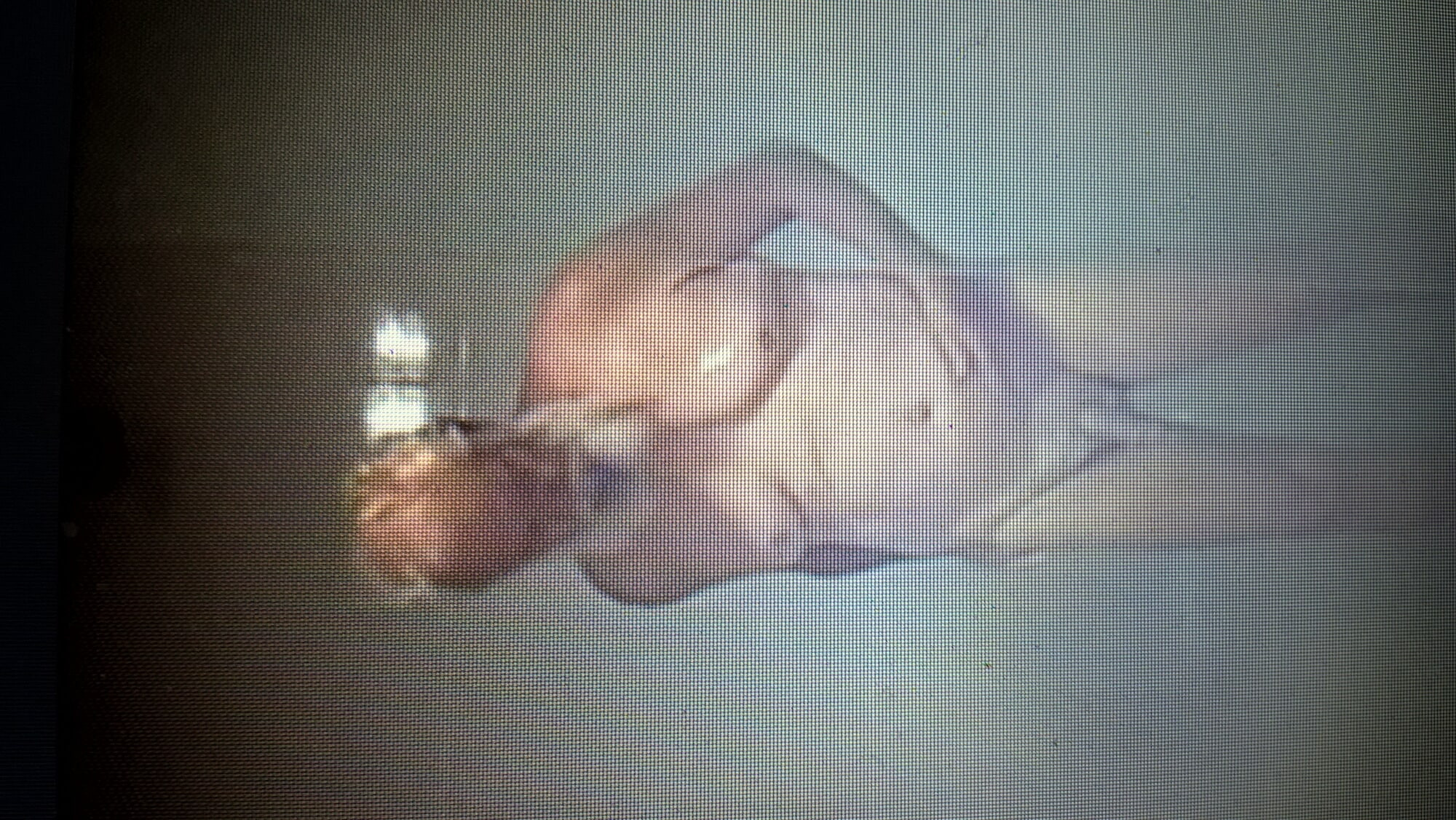 Ώρα για ντους