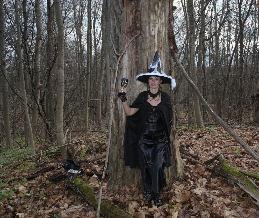 Witch with broom in forest