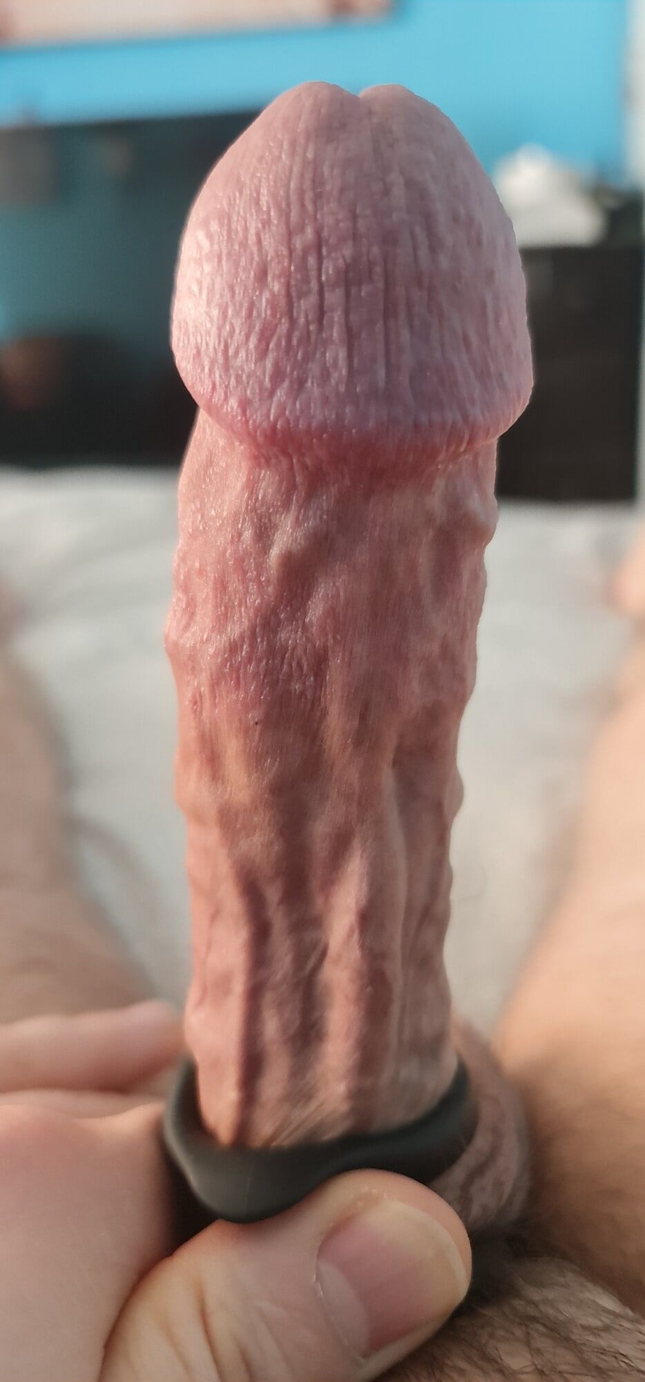 My veiny hard cock in close up #14