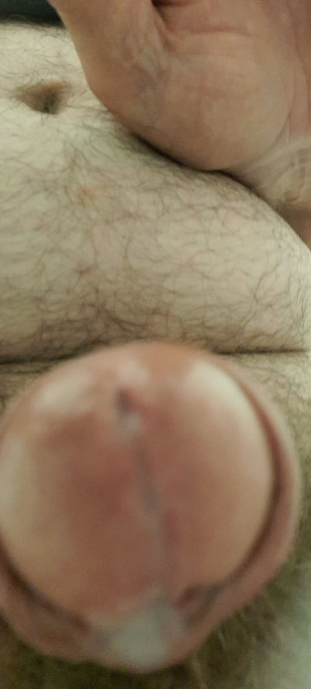 Penis Galerie  #5