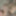 公の場で裸の奴隷を公開