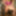 vtecdick - heels, dress, thong dildo crossdresser #15